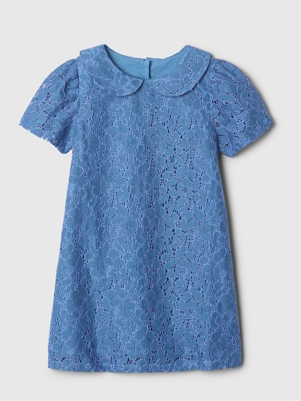 Gap Lace Peter Pan Collar Dress